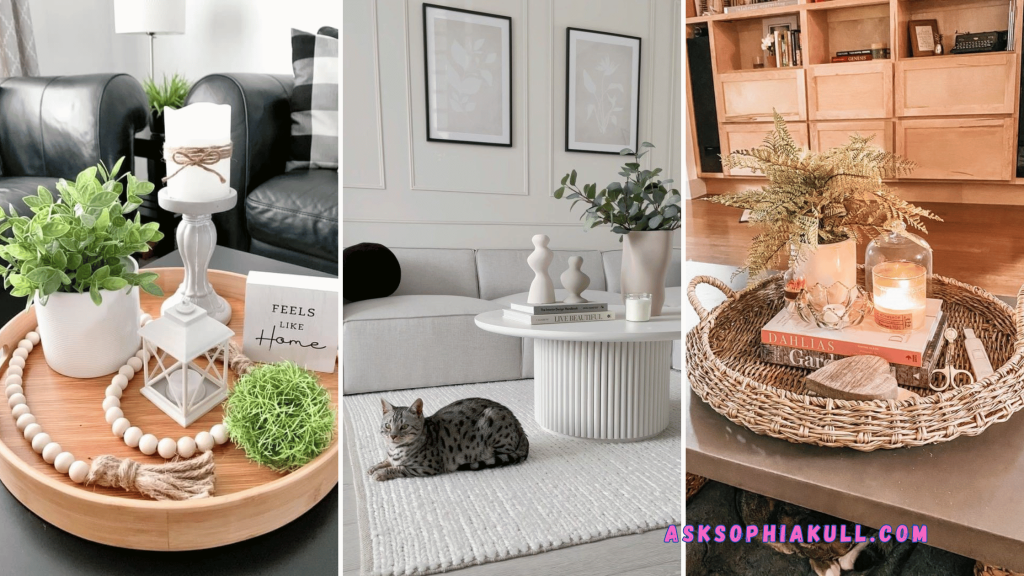 20+ Chic Coffee Table Decor Ideas You’ll Love